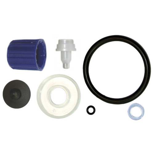 GDM Sprayer Spare Parts - Lady Pump Standard Seal